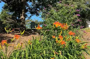 4475 Tall Hickory Trail, Gainesville, GA 30506 - Photo 17