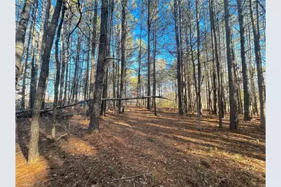 0 Old Stilesboro Road, Acworth, GA 30101 - Photo 7