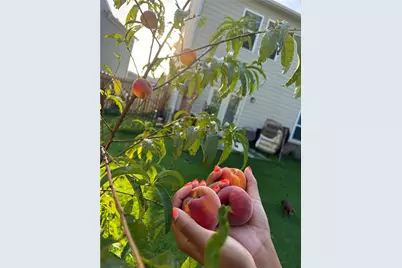 269 Knightsbridge Lane, Winder, GA 30680 - Photo 11