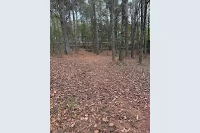 4795 Truman Mountain, Gainesville, GA 30506 - Photo 3