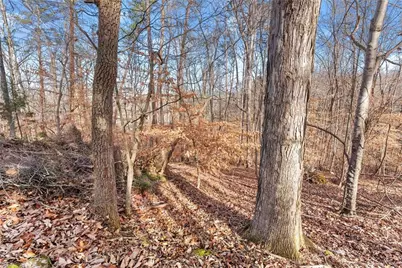 3522 Lighthouse Lane, Gainesville, GA 30504 - Photo 9
