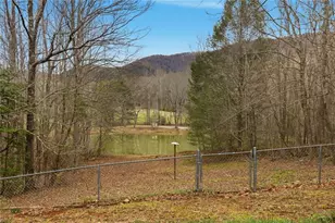 61 Bear Ridge Rd, Cleveland, GA 30528 - Photo 49