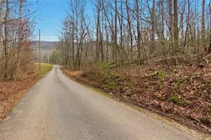 61 Bear Ridge Rd, Cleveland, GA 30528 - Photo 57