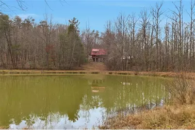 61 Bear Ridge Road, Cleveland, GA 30528 - Photo 51
