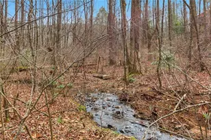 61 Bear Ridge Rd, Cleveland, GA 30528 - Photo 55