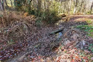 1122 Whispering Hills Dr, Bremen, GA 30110 - Photo 39