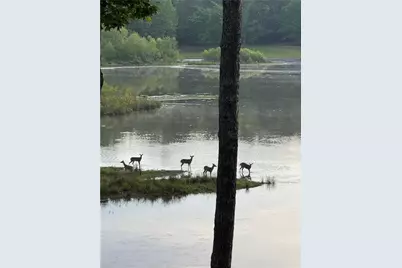 3585 Mill Creek Trail SW, Smyrna, GA 30082 - Photo 63