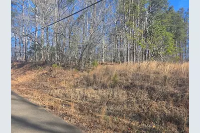 Tbd Cowart Mountain Tract 3 Road, Jasper, GA 30143 - Photo 3