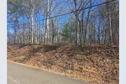 Tbd Cowart Mountain Tract 3 Road, Jasper, GA 30143 - Photo 3