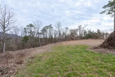 Tbd Cowart Mountain Tract 3 Road, Jasper, GA 30143 - Photo 5