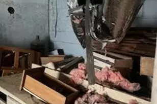 2487 Pleasantdale Rd, Atlanta, GA 30340 - Photo 7