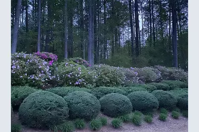 210 River Laurel Way, Woodstock, GA 30188 - Photo 69