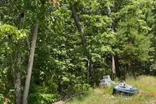 220 Friendship Trl, Talking Rock, GA 30175 - Photo 17