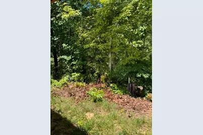 220 Friendship Trail, Talking Rock, GA 30175 - Photo 19