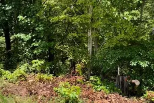 220 Friendship Trl, Talking Rock, GA 30175 - Photo 19