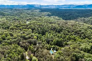 120 Brookhaven Trl, Blue Ridge, GA 30513 - Photo 85