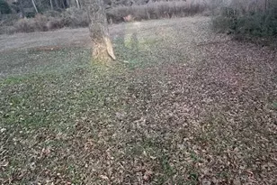 304 Hill St, Commerce, GA 30529 - Photo 13