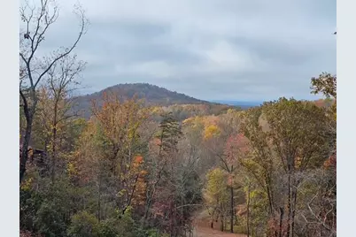 175 Stuart Drive, Mineral Bluff, GA 30559 - Photo 45