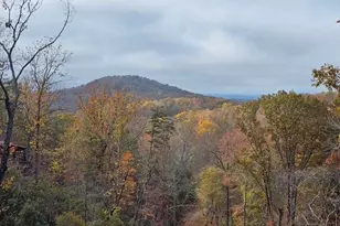 175 Stuart Dr, Mineral Bluff, GA 30559 - Photo 45