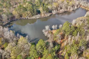 481 Turner Rd, Concord, GA 30206 - Photo 41