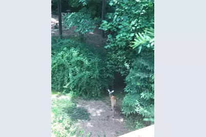 245 Ridge Point Court, Alpharetta, GA 30022 - Photo 43