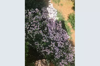 245 Ridge Point Court, Alpharetta, GA 30022 - Photo 41