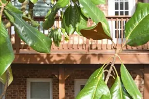 1507 Legacy Cv Ln, Roswell, GA 30075 - Photo 51