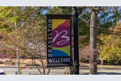 1331 Lincoln Lane, Braselton, GA 30517 - Photo 41