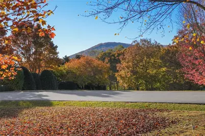 469 Rome Beauty Lane, Clarkesville, GA 30523 - Photo 25