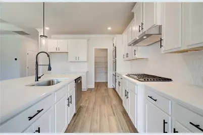 87 Rose Lake Court, Hoschton, GA 30548 - Photo 19