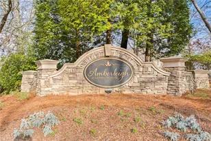 132 Amberleigh Dr, White, GA 30184 - Photo 53