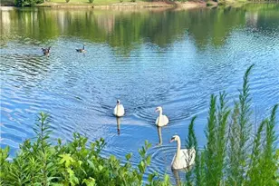 1846 Dorminey Ct, Lawrenceville, GA 30043 - Photo 69