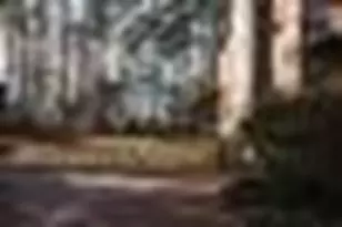 600 Hickory Creek Ln, Woodstock, GA 30188 - Photo 3