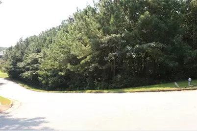 8747 Camron Drive, Winston, GA 30187 - Photo 17