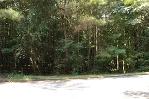 8747 Camron Dr, Winston, GA 30187 - Photo 9