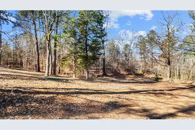 6902 Blacks Bluff Road SW, Cave Spring, GA 30124 - Photo 29