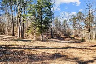 6902 Blacks Bluff Rd SW, Cave Spring, GA 30124 - Photo 33