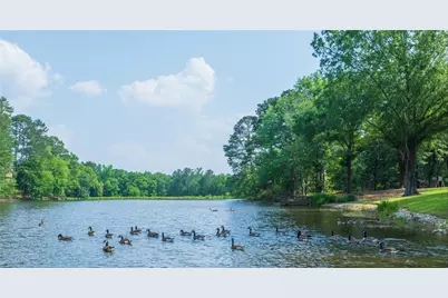 135 Shaker Hollow, Alpharetta, GA 30022 - Photo 41