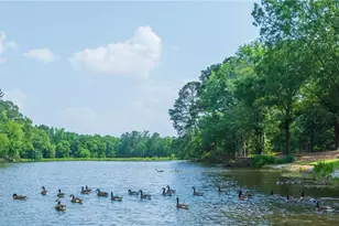 135 Shaker Hollow, Alpharetta, GA 30022 - Photo 41