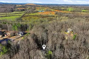 9240 Old Preserve Trail, Ball Ground, GA 30107 - Photo 3