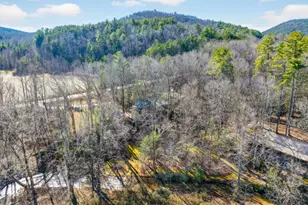 175 Laralynn Ln, Clarkesville, GA 30523 - Photo 67