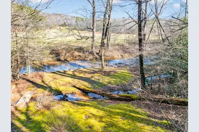 175 Laralynn Lane, Clarkesville, GA 30523 - Photo 63