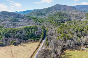 175 Laralynn Ln, Clarkesville, GA 30523 - Photo 69