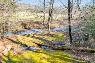 175 Laralynn Ln, Clarkesville, GA 30523 - Photo 63