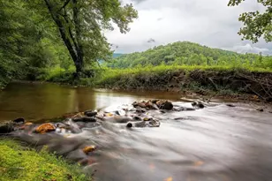 175 Laralynn Ln, Clarkesville, GA 30523 - Photo 65