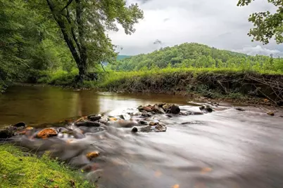 175 Laralynn Lane, Clarkesville, GA 30523 - Photo 65