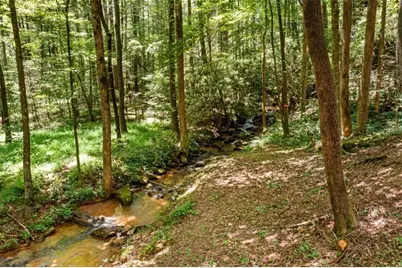 641 Bryant Farm Lane, Ellijay, GA 30540 - Photo 3
