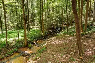 641 Bryant Farm Ln, Ellijay, GA 30540 - Photo 3