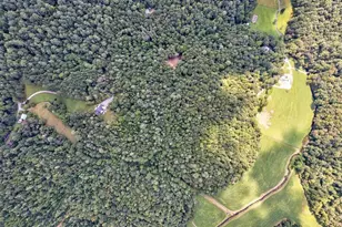 312 Charles Rd, Ellijay, GA 30540 - Photo 57