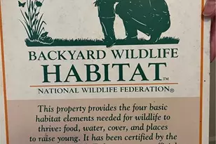 370 Kenilworth Cir, Stone Mountain, GA 30083 - Photo 31